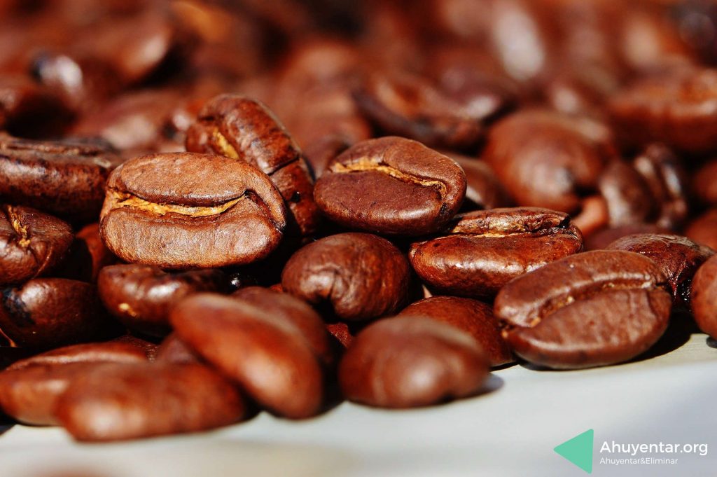 Granos de café al natural en tus macetas. Una idea muy practica para repeler felinos