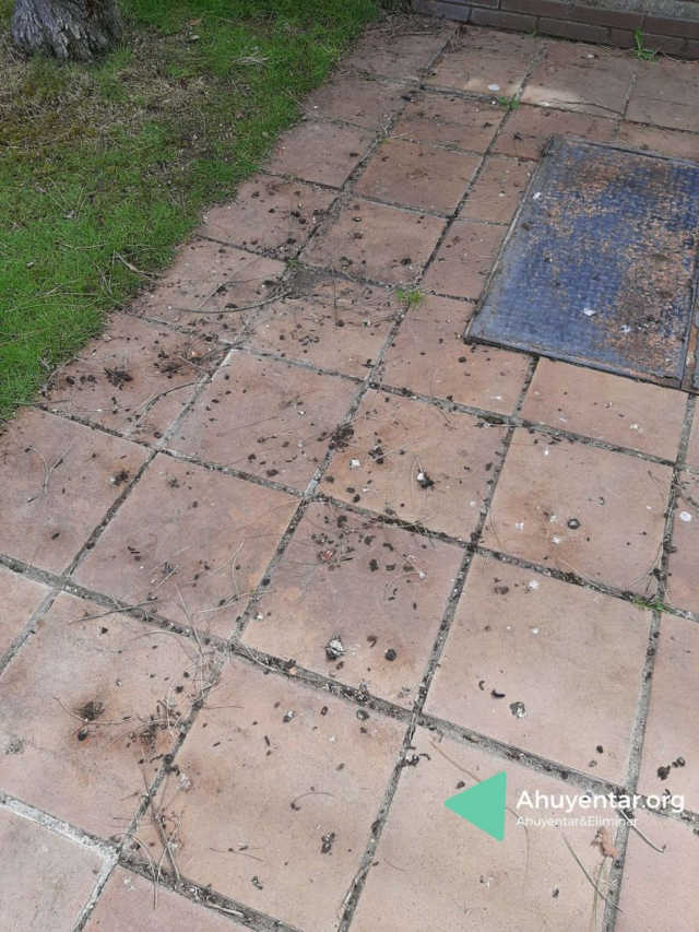 Evitar restos de cagadas de paloma en las baldosas del porche o piscina